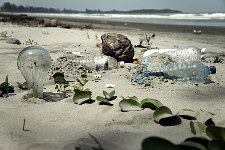 10 Facts That Will Make You Ditch Single-Use Plastics For Good