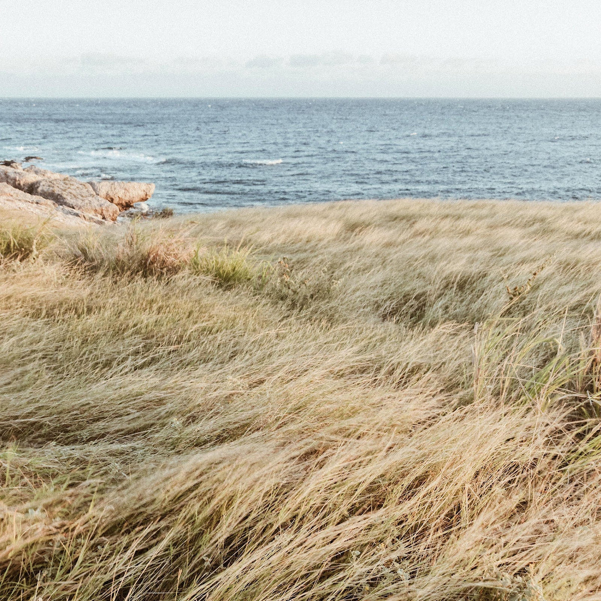 Mental Health Benefits Of Nature