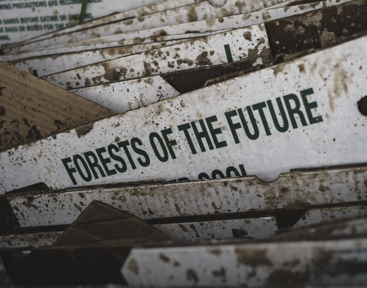 tentree's Reforestation And Agroforestry Efforts Explained