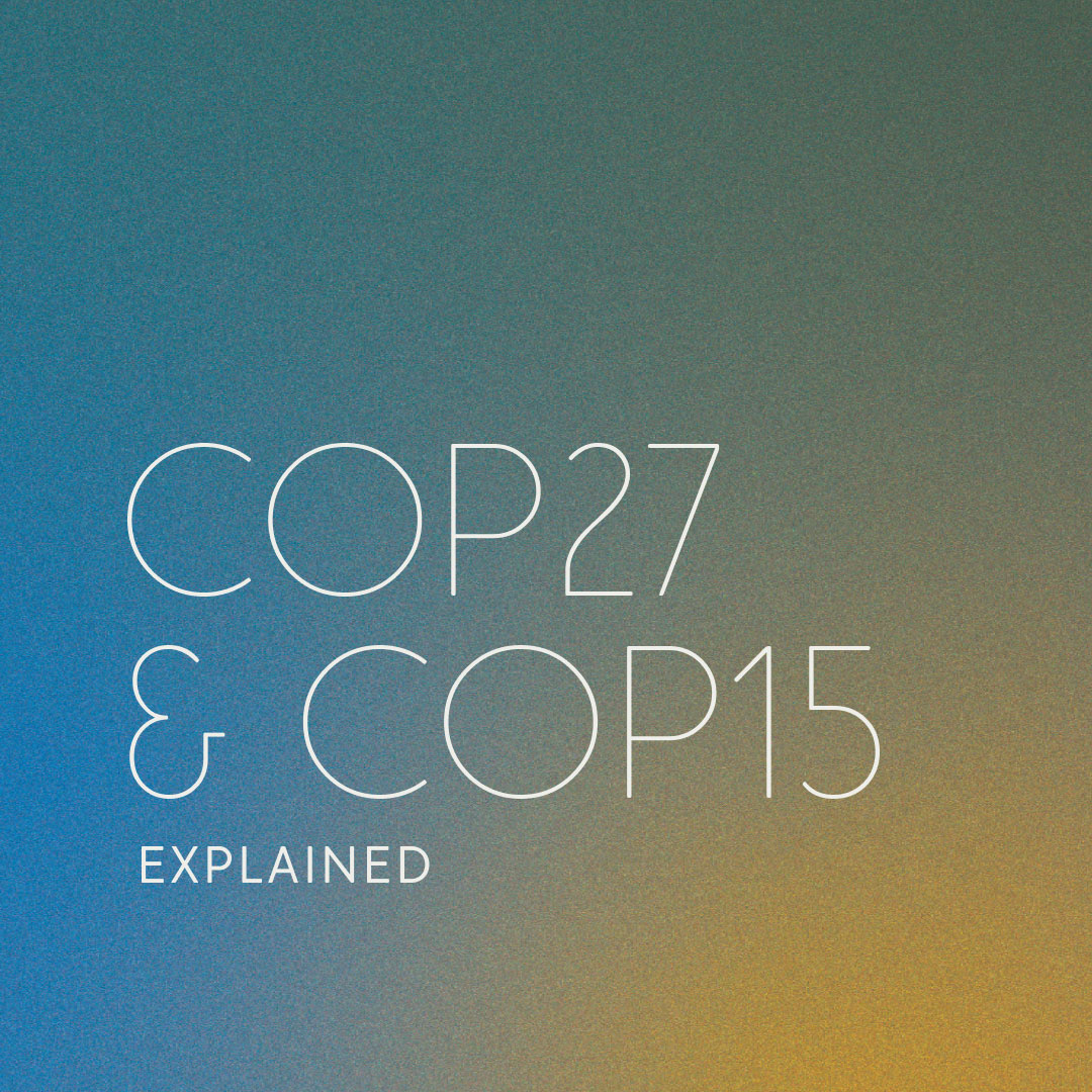 COP27 & COP15 Explained