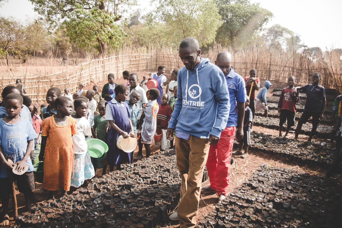 Neotree Malawi The Benefits Of Planting Trees In Malawi