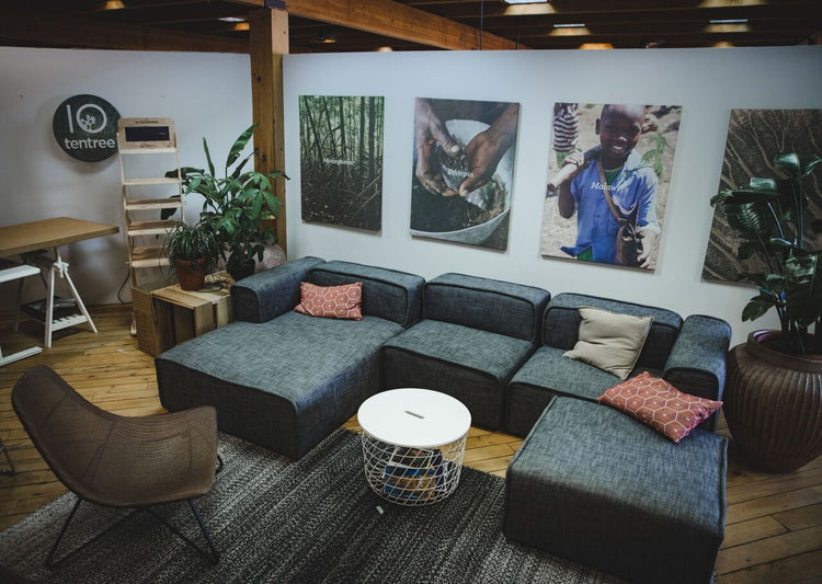 A Behind-The-Scenes Look At tentree's Sustainable Office Initiatives