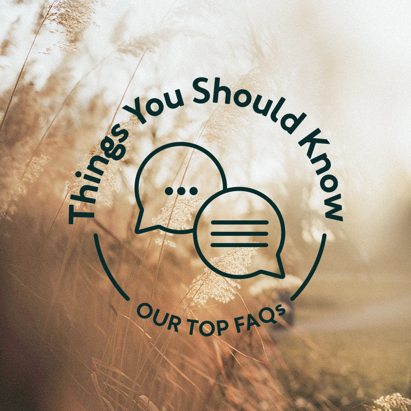 Things You Should Know: Top FAQs From February