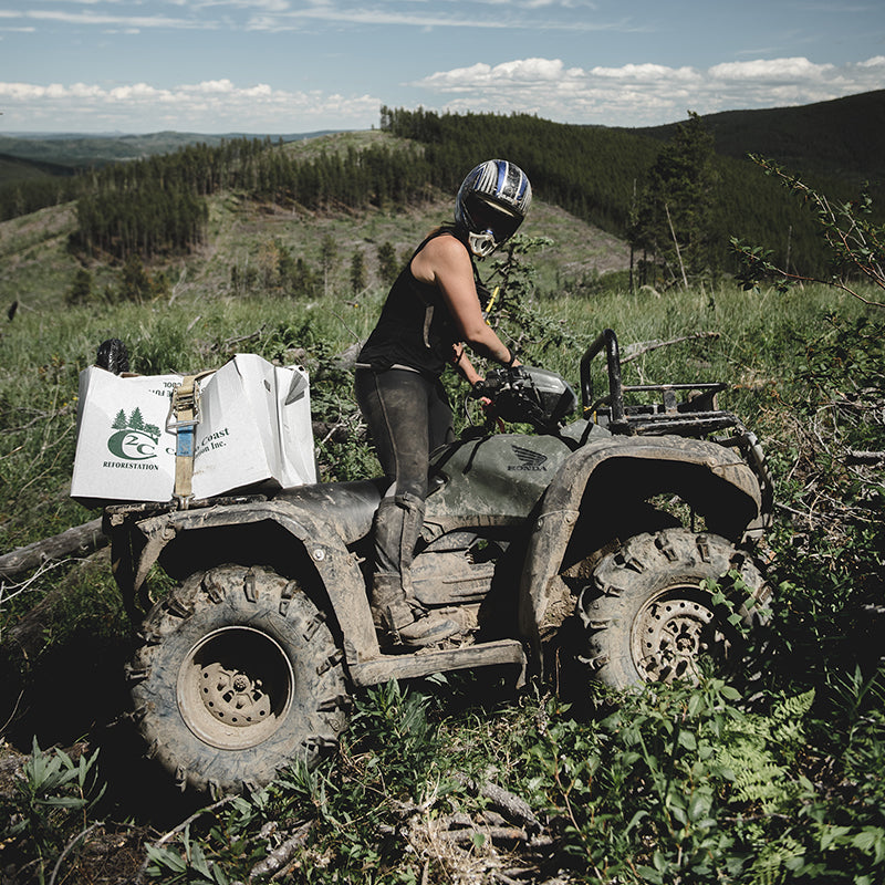 Meet 5 Of The Women Reforesting The World