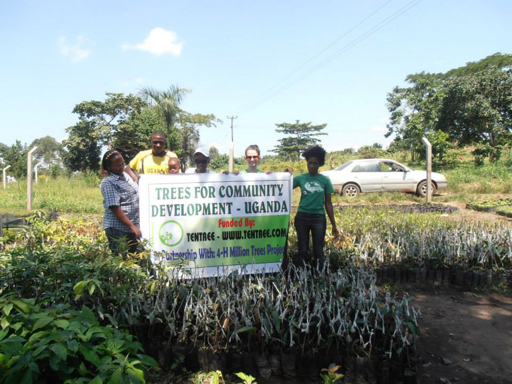 The Benefits Of Planting Trees In Uganda