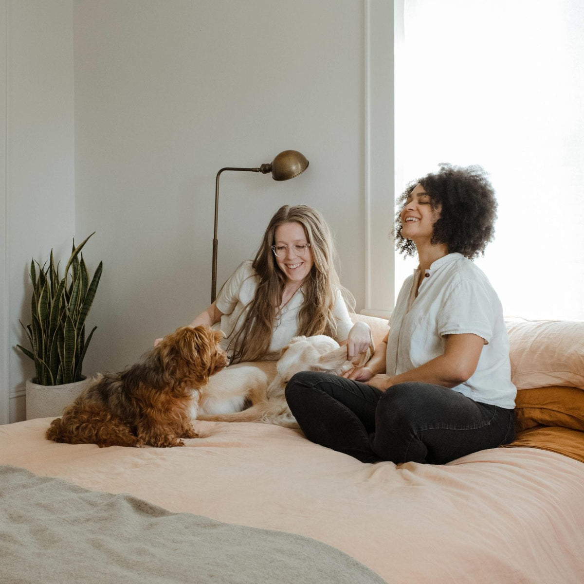 5 Ways To Be A More Eco-Conscious Pet Owner