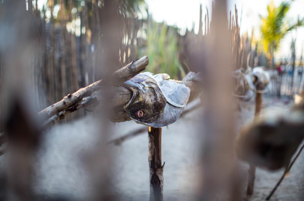 10 Strange Things You'll Encounter In Madagascar