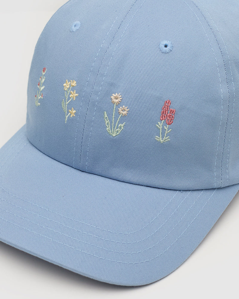 Blue-Organic-Cotton-6-Panel-Low-Profile-Hat