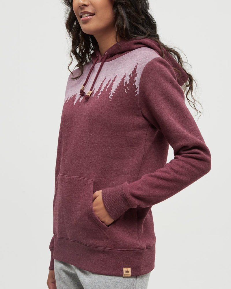 Burgundy-Regular-Fit-Longsleeve-Hoodie