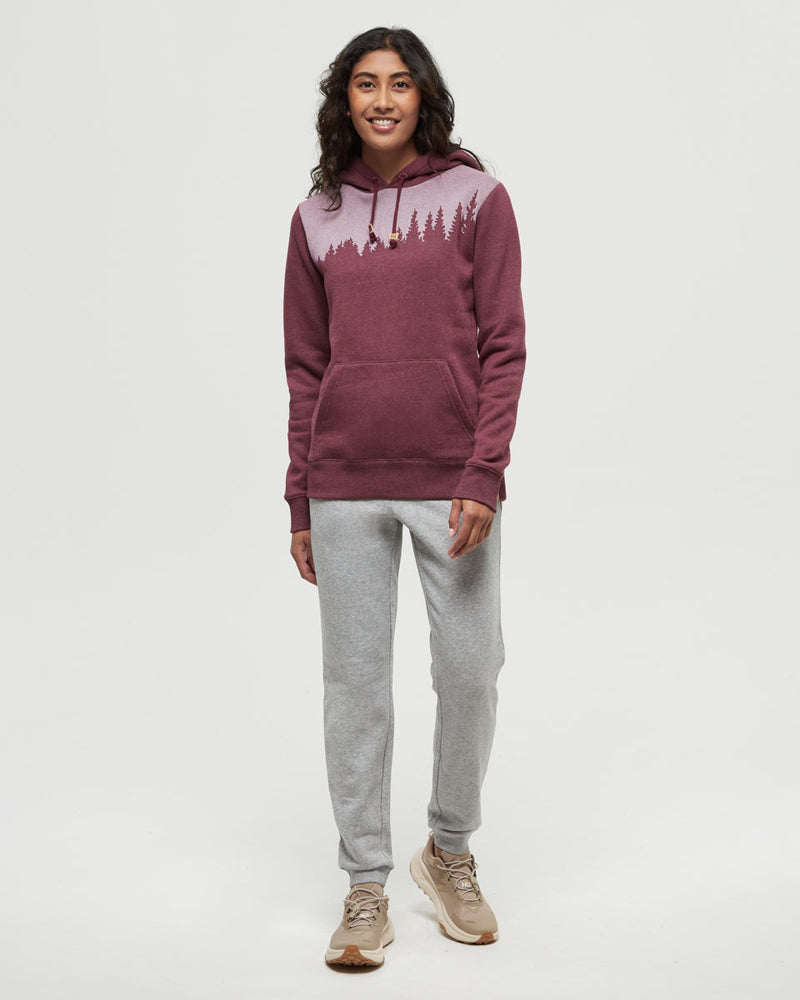 Burgundy-Regular-Fit-Longsleeve-Hoodie