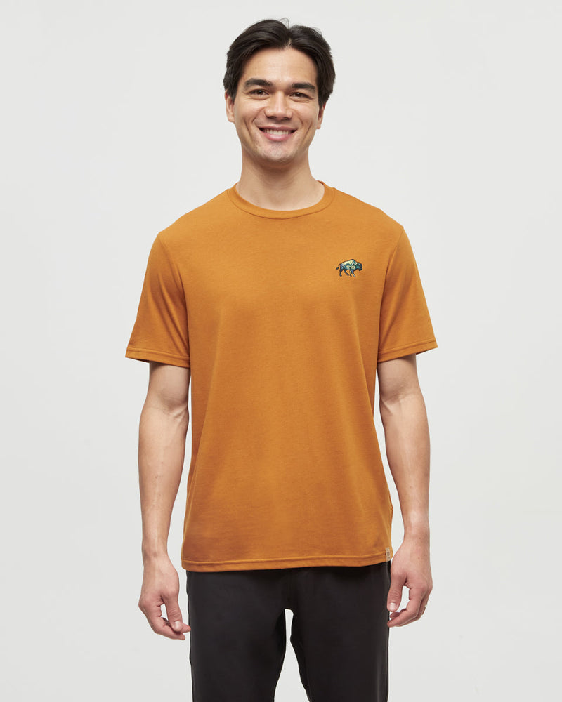 Orange-Printed-Graphic-TreeBlend-T-Shirt