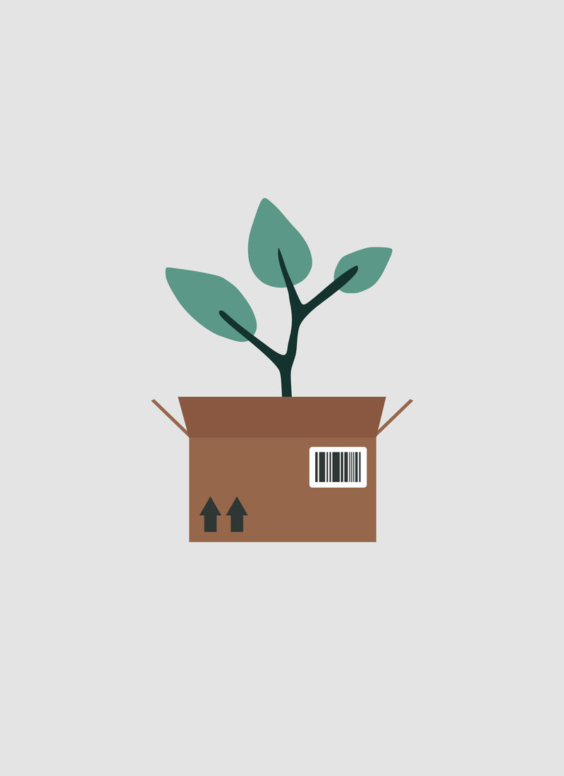 Order Protection & Plant 1 Tree