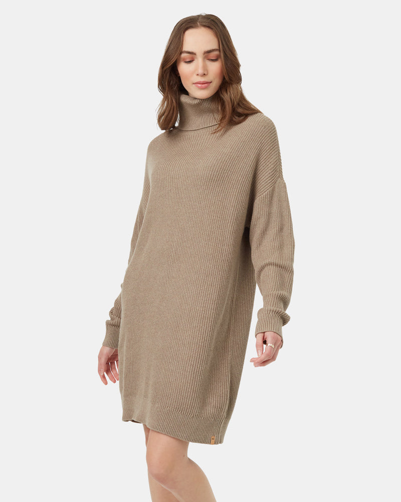 oversized turtleneck sweater dress Highline Oversized Turtleneck Dress