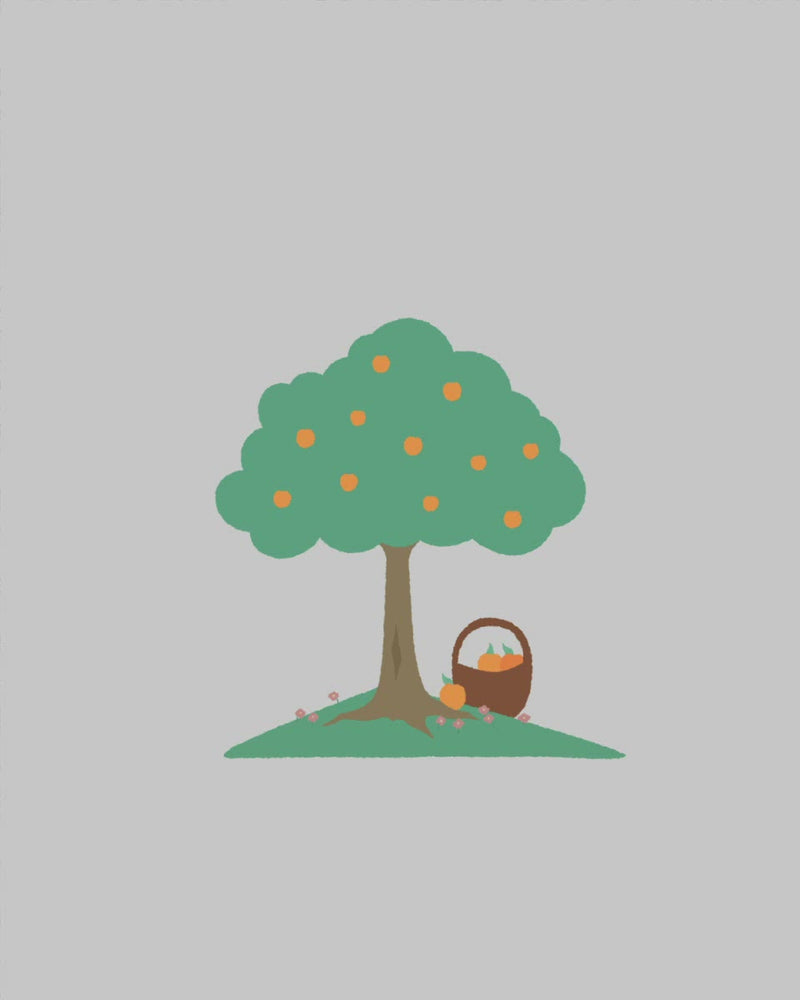 Plant in an Agroforest