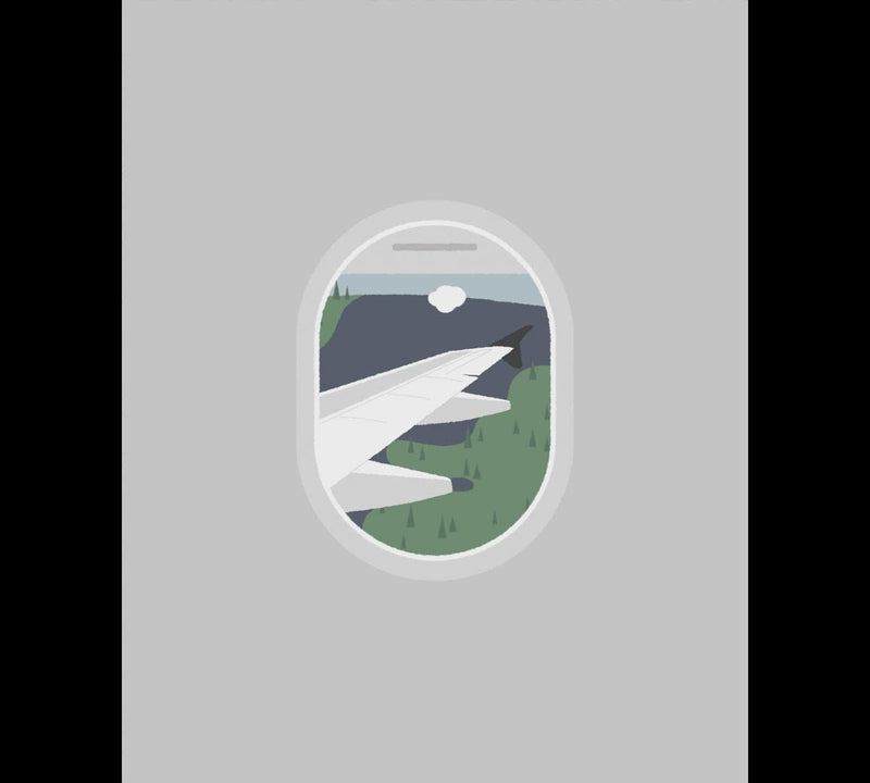 International Flight