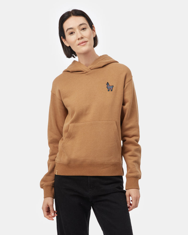 Brown Embroidered Pullover Hoodie